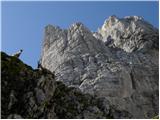 Planina Zajzera - Jôf di Montasio/Montaž